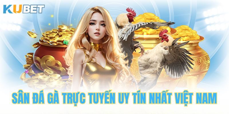 Sàn đấu gà trực tuyến uy tín nhất Việt Nam